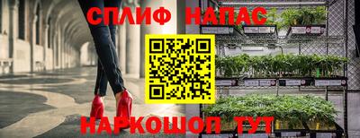 дживик Будённовск